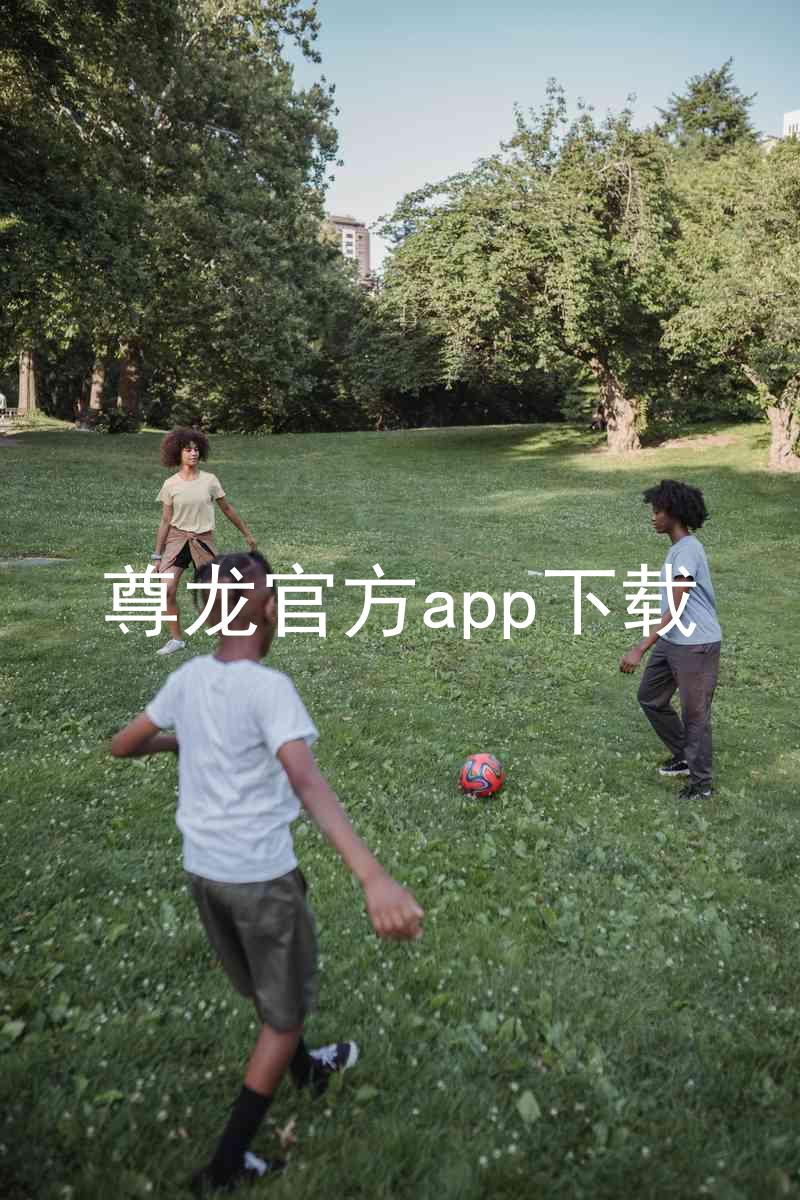 尊龙官方app下载