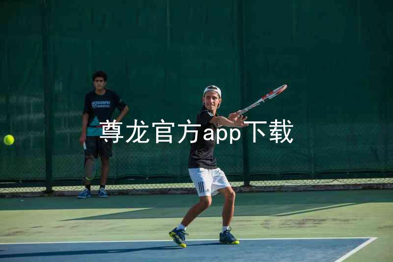 尊龙官方app下载